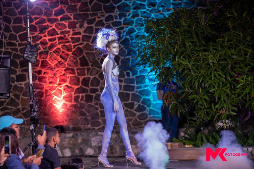 Painting: Seb body arts à Maurice pour le Festival International de l'Art Painting: Seb body arts à Maurice pour le Festival International de l'Art