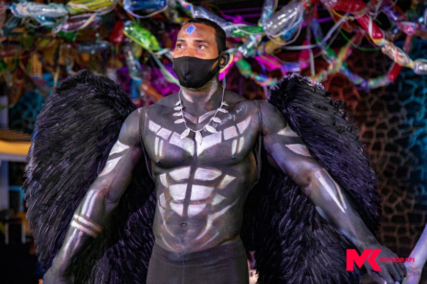 Painting: Seb body arts à Maurice pour le Festival International de l'Art Painting: Seb body arts à Maurice pour le Festival International de l'Art