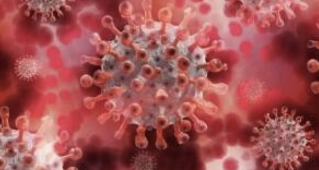 Langya-Henipavirus, un nouveau virus découvert en Chine ! Langya-Henipavirus, un nouveau virus découvert en Chine !