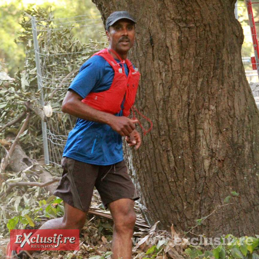 Alfred Gibralta ti-lamp, ti-lamp Alfred Gibralta ti-lamp, ti-lamp