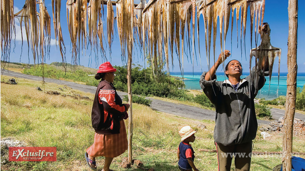 Les amateurs de zourites trouveront leur bonheur à Rodrigues Les amateurs de zourites trouveront leur bonheur à Rodrigues