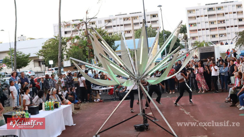 "Les Lotus du Camélias": une expo éphémère sur l'Escalier Rouge "Les Lotus du Camélias": une expo éphémère sur l'Escalier Rouge