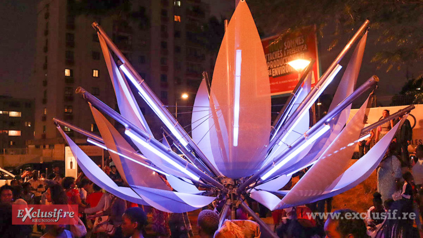 Des fleurs qui s'illuminent la nuit venue...