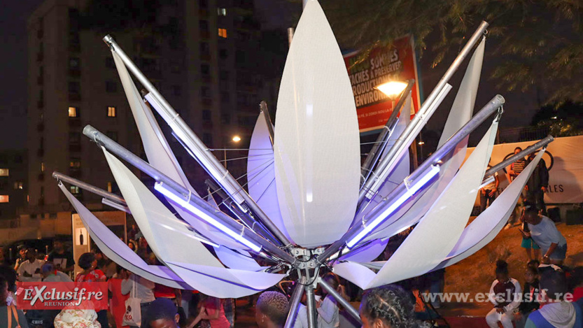 "Les Lotus du Camélias": une expo éphémère sur l'Escalier Rouge "Les Lotus du Camélias": une expo éphémère sur l'Escalier Rouge