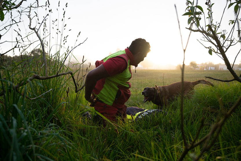2e RPIMa: entraînement commun des unités cynotechniques de La Réunion 2e RPIMa: entraînement commun des unités cynotechniques de La Réunion