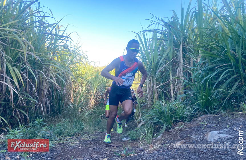 Le Roi Barret « dan’ champ d’ cannes » Le Roi Barret « dan’ champ d’ cannes »