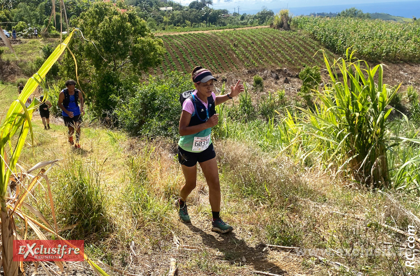 La Petite-Ile profonde était à découvrir La Petite-Ile profonde était à découvrir