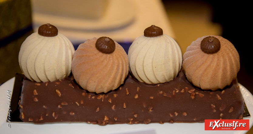 Bûche glacée noisette pistache