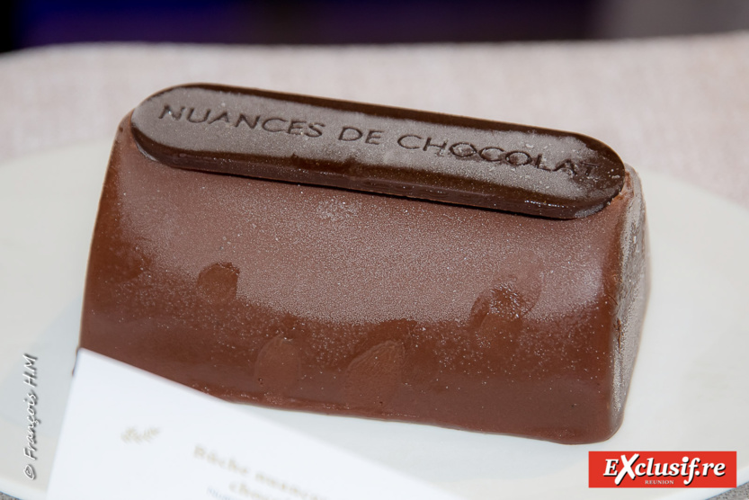 Bûche nuances de chocolat