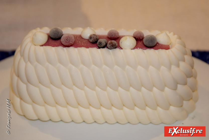 Dessert glacé Bio façon Pavlova aux fruits rouges Dessert glacé Bio façon Pavlova aux fruits rouges