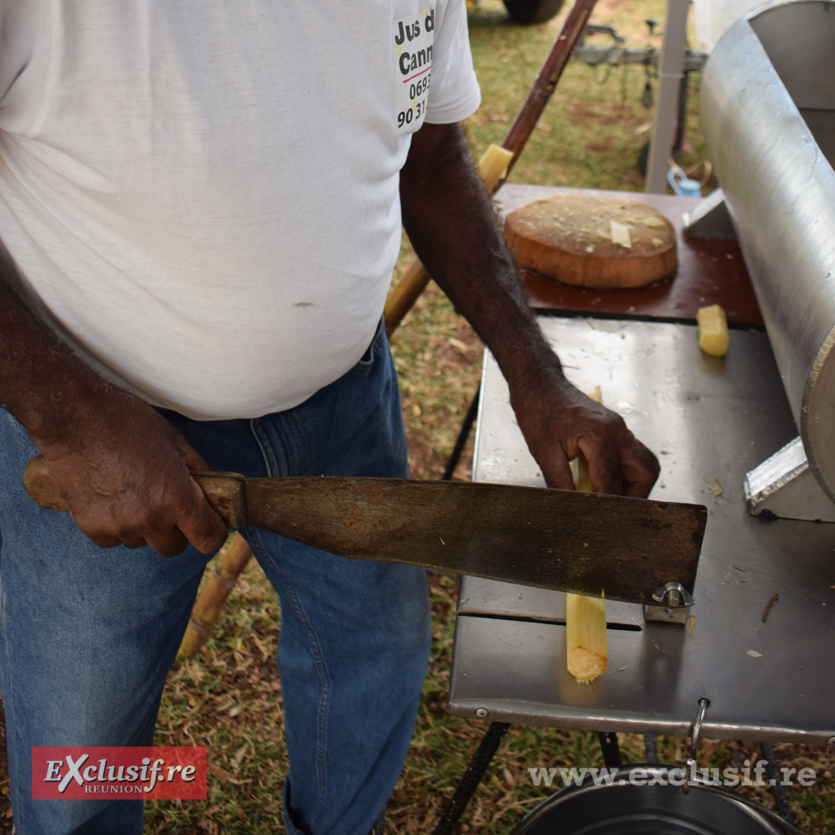 Fierté Kréol à Sainte-Suzanne: quelques photos-souvenirs Fierté Kréol à Sainte-Suzanne: quelques photos-souvenirs