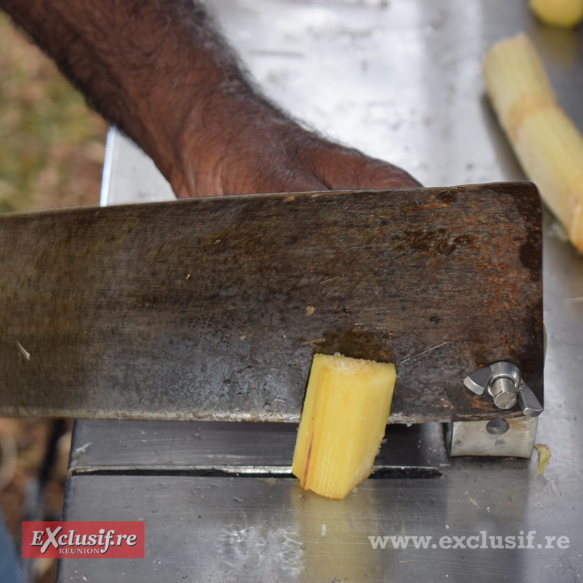 Fierté Kréol à Sainte-Suzanne: quelques photos-souvenirs