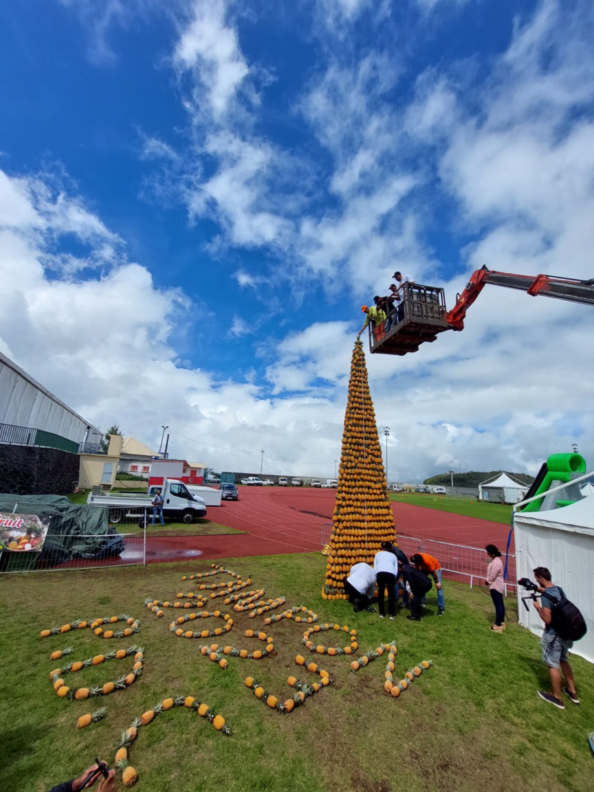 Mesure de la hauteur... Mesure de la hauteur...