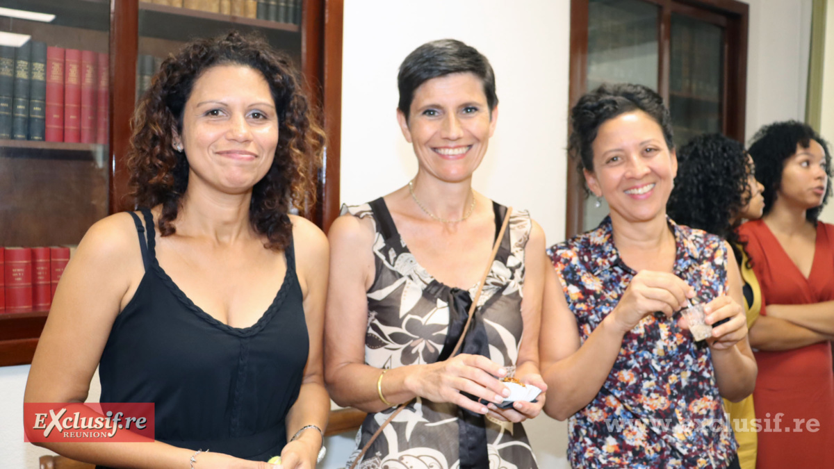 Audience solennelle de la Cour d'appel de Saint-Denis: toutes les photos Audience solennelle de la Cour d'appel de Saint-Denis: toutes les photos