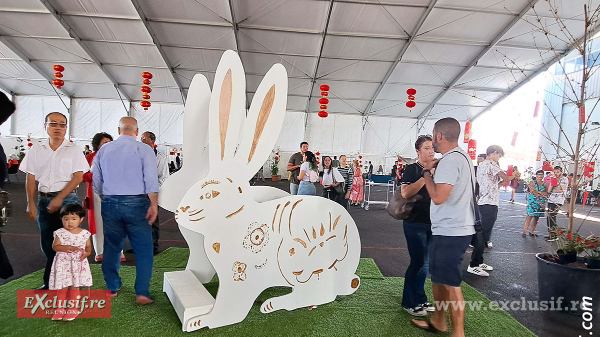 Un lapin qui a attiré plein de regards