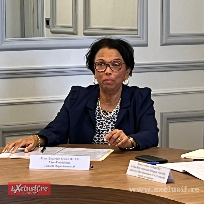 Béatrice Sigismeau, vice-présidente du Département