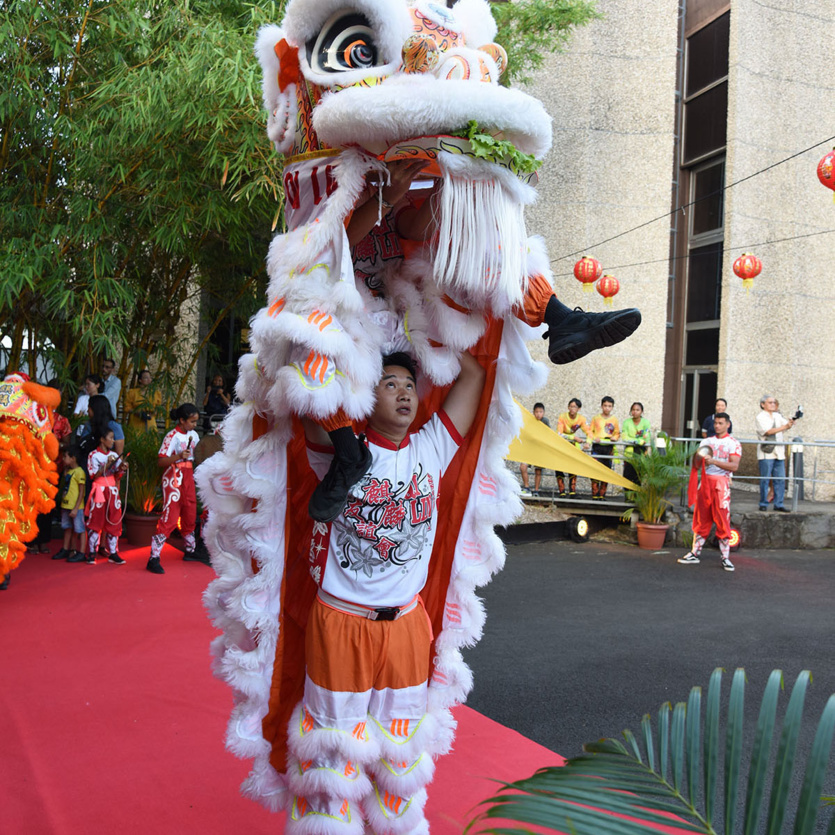 Fête chinoise au Département de La Réunion: photos