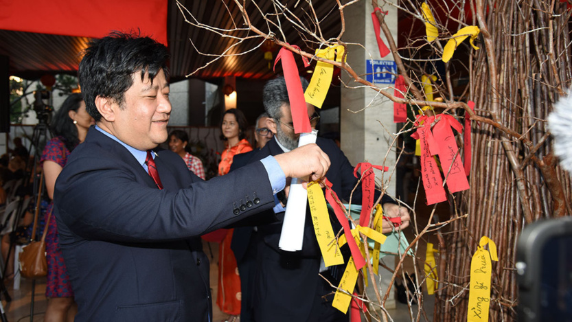 Fête chinoise au Département de La Réunion: photos