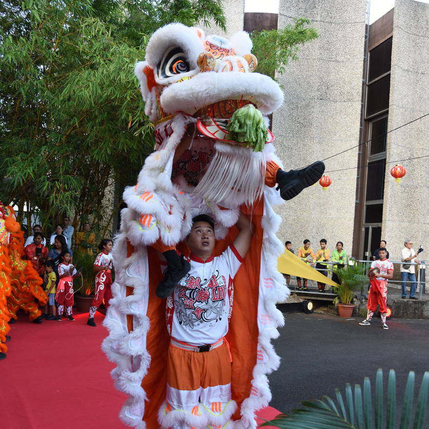 Fête chinoise au Département de La Réunion: photos