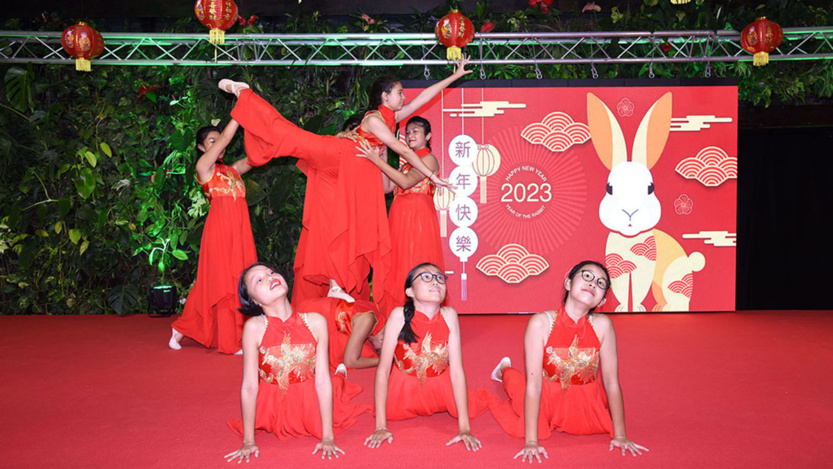 Fête chinoise au Département de La Réunion: photos