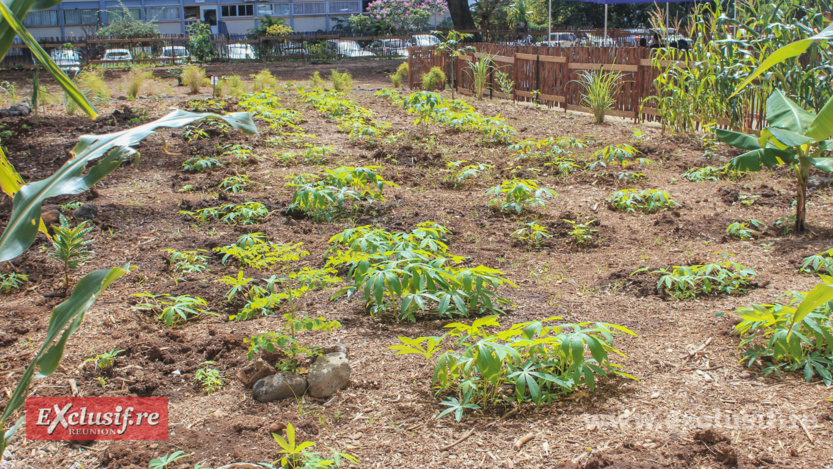 Inauguration de la Maison du Projet à La Chaumière à Saint-Denis Inauguration de la Maison du Projet à La Chaumière à Saint-Denis