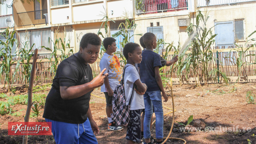 Inauguration de la Maison du Projet à La Chaumière à Saint-Denis Inauguration de la Maison du Projet à La Chaumière à Saint-Denis
