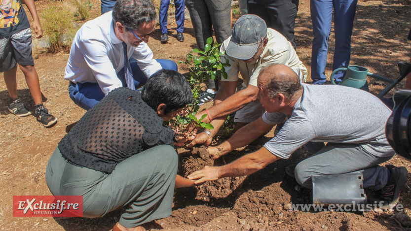 Inauguration de la Maison du Projet à La Chaumière à Saint-Denis Inauguration de la Maison du Projet à La Chaumière à Saint-Denis