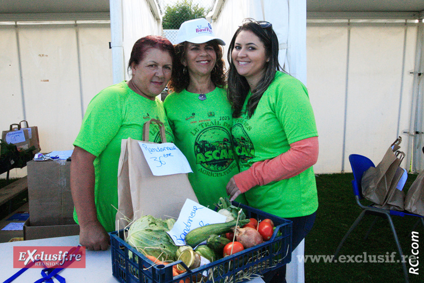 Des paniers pleins de légumes offerts par les organisateurs Des paniers pleins de légumes offerts par les organisateurs
