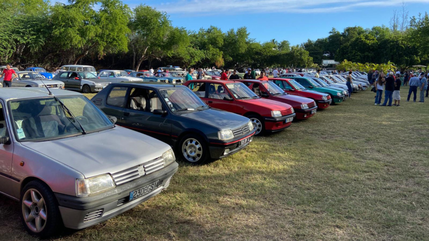 Des 205 en veux-tu en voilà, elles étaient nombreuses Des 205 en veux-tu en voilà, elles étaient nombreuses