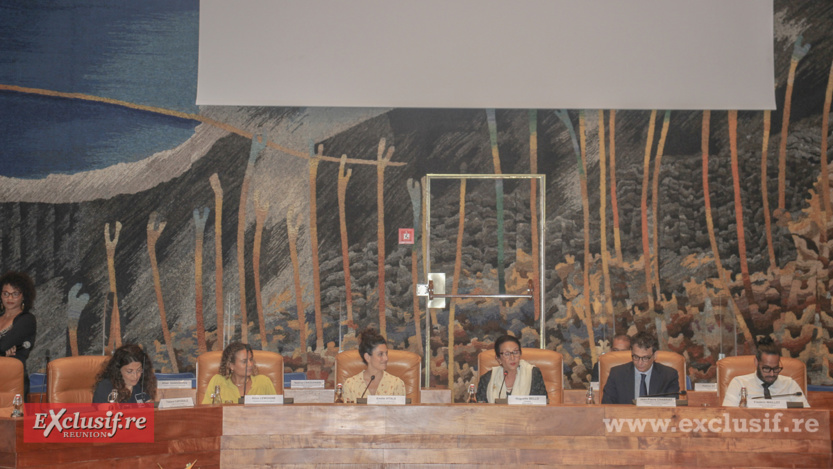 Concours "Océano pour tous": deux classes réunionnaises récompensées Concours "Océano pour tous": deux classes réunionnaises récompensées