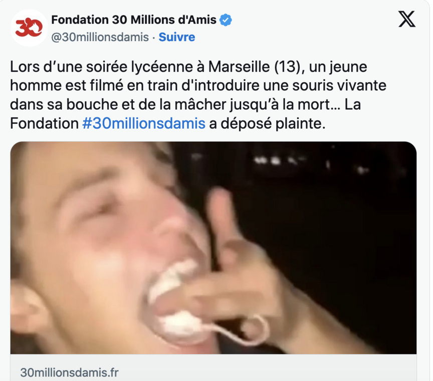 Photo publiée sur Twitter par la Fondation 30 millions d'Amis