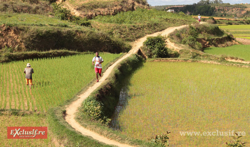 La traversée  des rizières : complètement dépaysant …