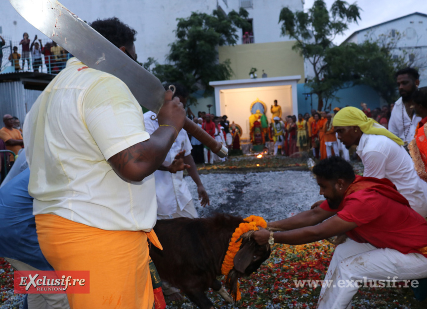 Marche sur le feu au temple du Chaudron: toutes les photos