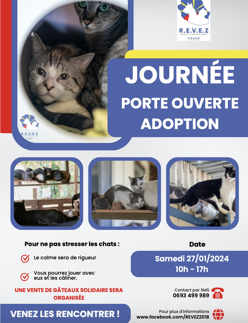 L'association REVEZ lance un appel à l'aide urgent pour sauver des chats L'association REVEZ lance un appel à l'aide urgent pour sauver des chats
