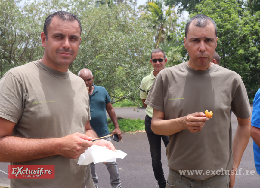 ONF Réunion-Mayotte: bilan, voeux et remise de médailles, toutes les photos