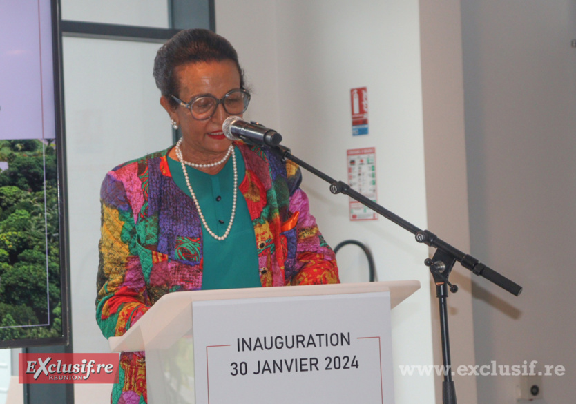 Hugutte Bello a insisté sur la souffrance mentale: "La psychiatrie doit être une priorité" Hugutte Bello a insisté sur la souffrance mentale: "La psychiatrie doit être une priorité"