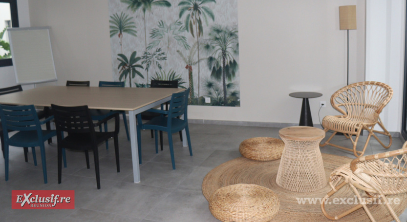 Clinique des Flamboyants Est: une réponse de proximité pour la santé mentale   Clinique des Flamboyants Est: une réponse de proximité pour la santé mentale