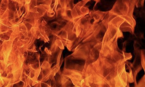 Elle a échappé de peu au feu de la crémation... Elle a échappé de peu au feu de la crémation...