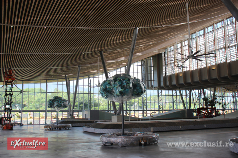 Une vue sur les montages et des plantes suspendues à l'intérieur Une vue sur les montages et des plantes suspendues à l'intérieur