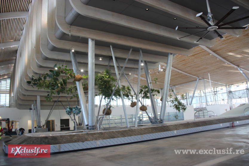 Des plantes suspendues au-dessus des tapis Des plantes suspendues au-dessus des tapis