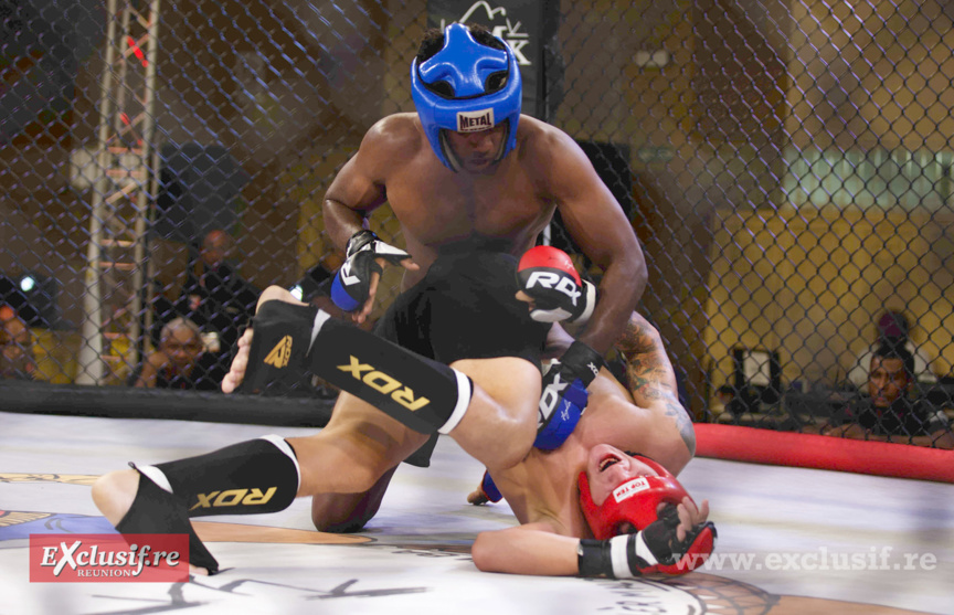 Pancrace en cage à Champ Fleuri: pari réussi pour Force Tranquille ! Pancrace en cage à Champ Fleuri: pari réussi pour Force Tranquille !