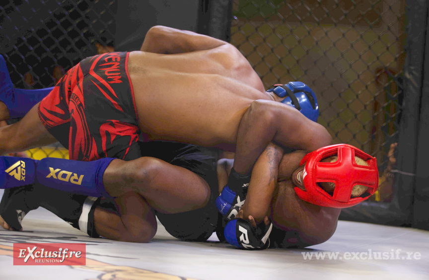 Pancrace en cage à Champ Fleuri: pari réussi pour Force Tranquille ! Pancrace en cage à Champ Fleuri: pari réussi pour Force Tranquille !