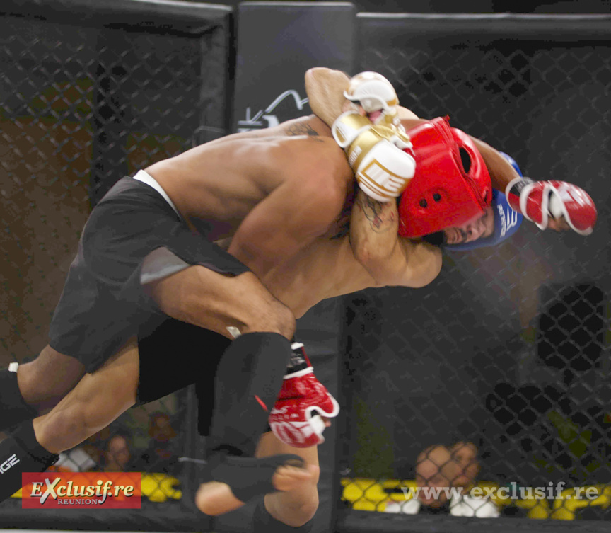 Pancrace en cage à Champ Fleuri: pari réussi pour Force Tranquille ! Pancrace en cage à Champ Fleuri: pari réussi pour Force Tranquille !