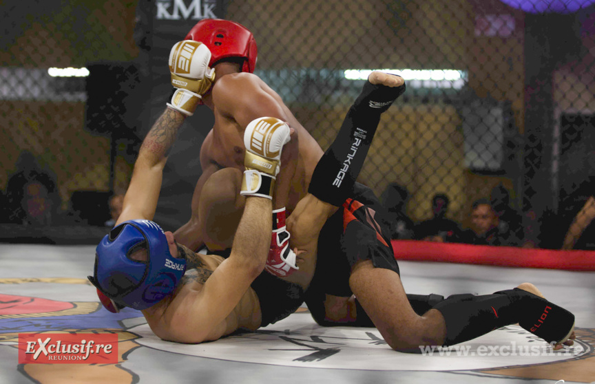 Pancrace en cage à Champ Fleuri: pari réussi pour Force Tranquille ! Pancrace en cage à Champ Fleuri: pari réussi pour Force Tranquille !