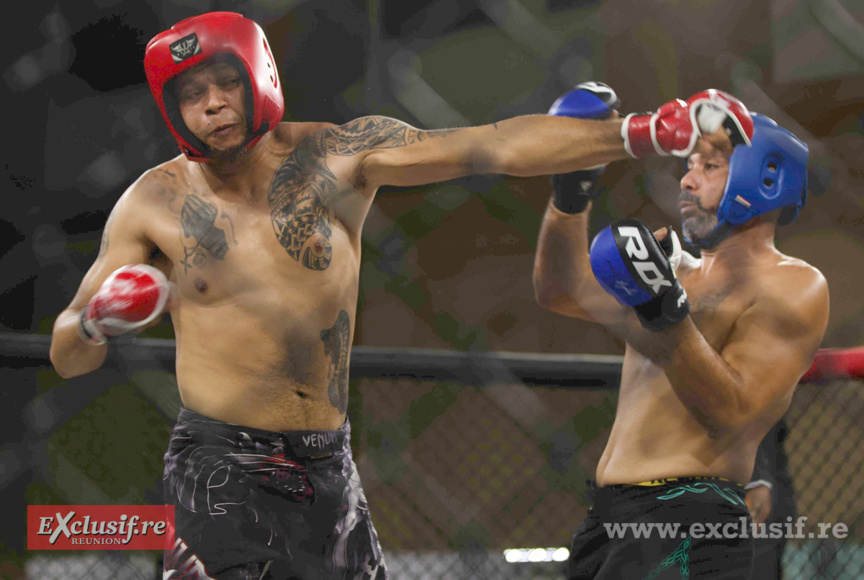 Pancrace en cage à Champ Fleuri: pari réussi pour Force Tranquille ! Pancrace en cage à Champ Fleuri: pari réussi pour Force Tranquille !