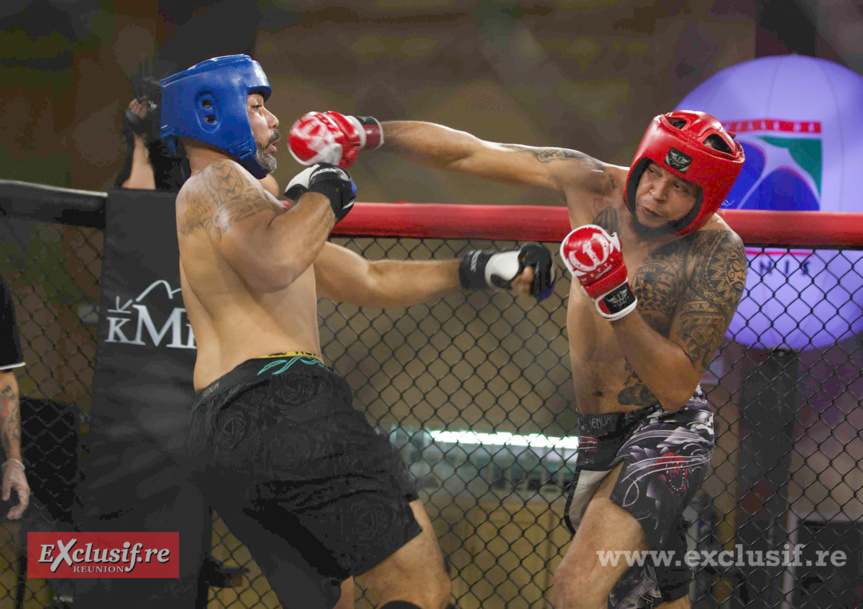 Pancrace en cage à Champ Fleuri: pari réussi pour Force Tranquille ! Pancrace en cage à Champ Fleuri: pari réussi pour Force Tranquille !
