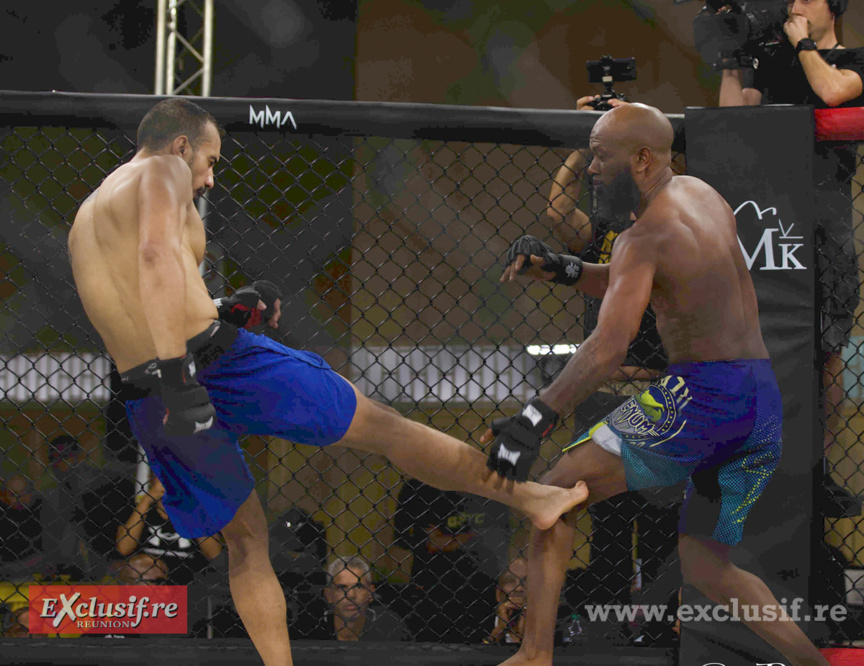 Pancrace en cage à Champ Fleuri: pari réussi pour Force Tranquille ! Pancrace en cage à Champ Fleuri: pari réussi pour Force Tranquille !