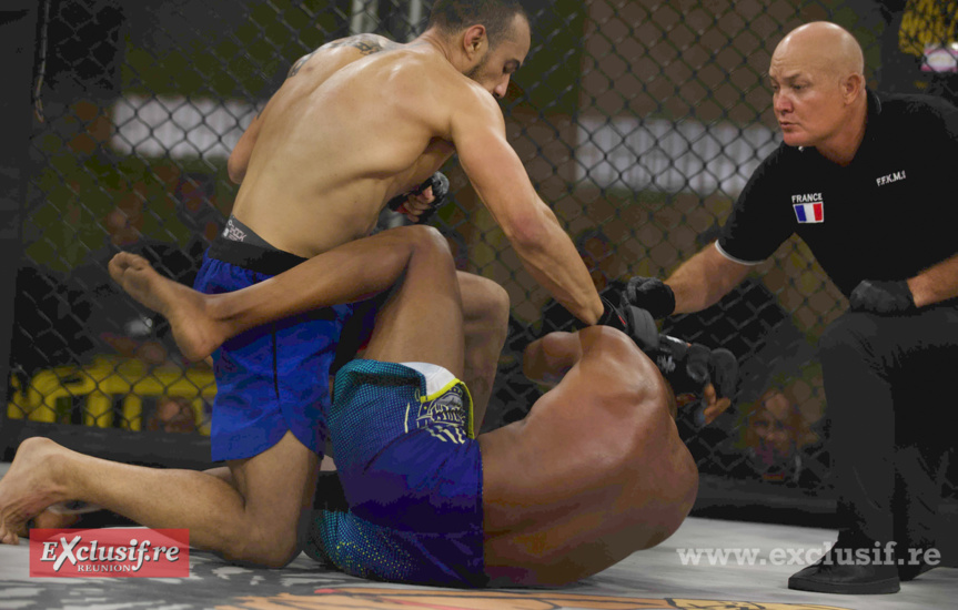 Pancrace en cage à Champ Fleuri: pari réussi pour Force Tranquille ! Pancrace en cage à Champ Fleuri: pari réussi pour Force Tranquille !