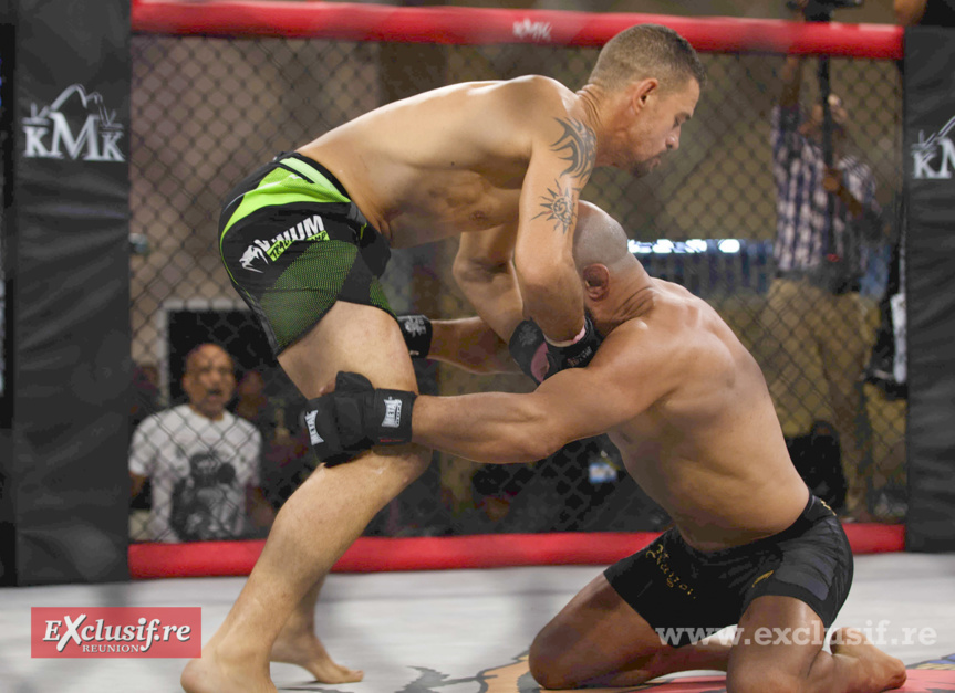 Pancrace en cage à Champ Fleuri: pari réussi pour Force Tranquille ! Pancrace en cage à Champ Fleuri: pari réussi pour Force Tranquille !