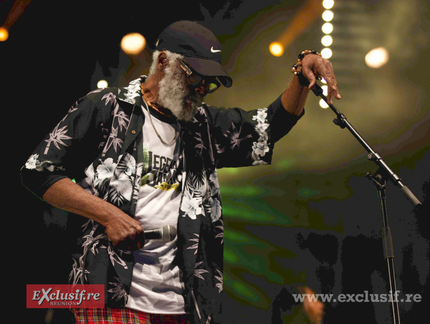 Concert Royal Reggae à la Ravine Saint-Leu: photos Concert Royal Reggae à la Ravine Saint-Leu: photos